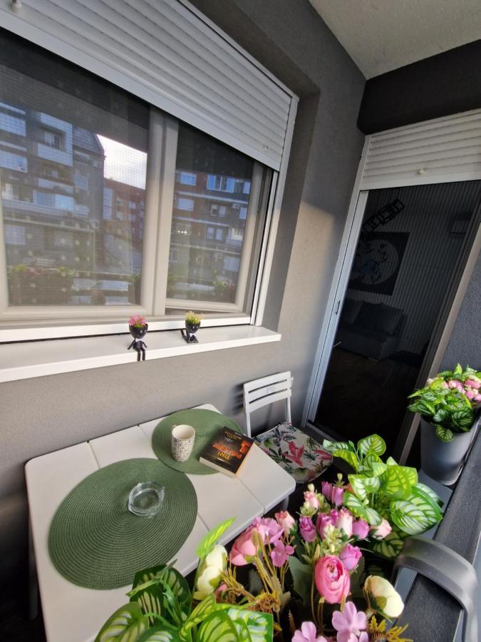 Apartman Astra Sremska Mitrovica Exteriér fotografie